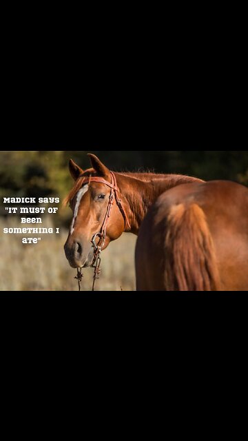 When Madick Went to the River... You Won't Believe What Happened Next! #shorts #comedy #comedyshort