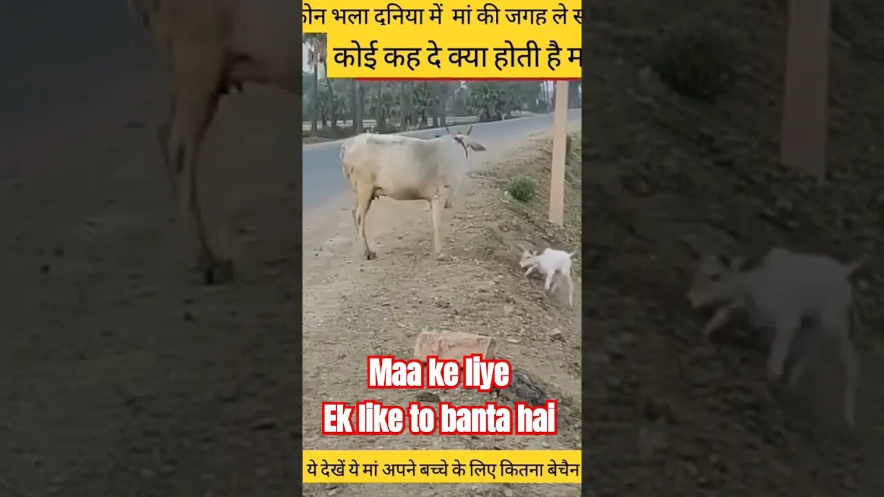 maa ke liye ek like to Banta hai #shortvideos #funny #viral #viralvideos