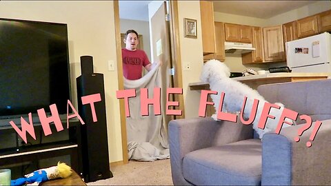 What The Fluff Challenge!