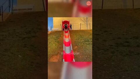 FUNNY MOMENTS #funny #funnymemes #funnymoments