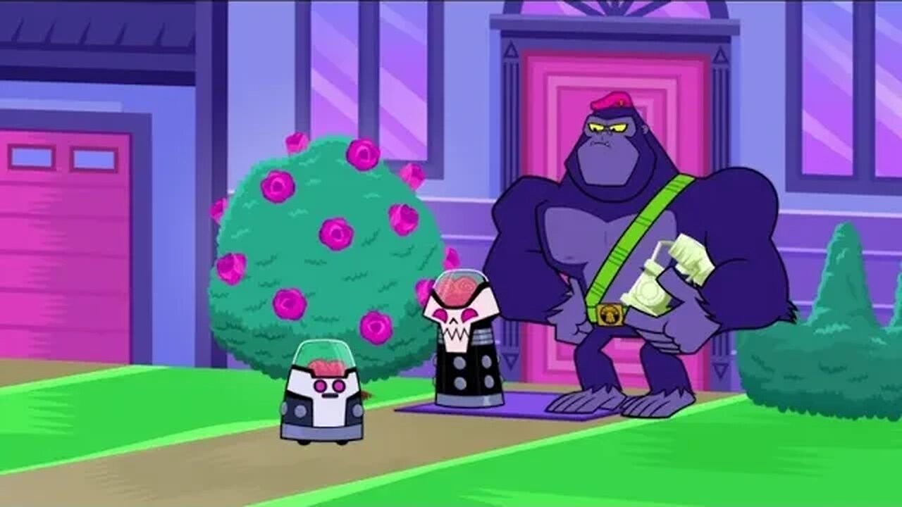 Teen Titans Go Season 8, Episode 10 "The Brian Of The Family" Recap, WARNING SPOILERS!