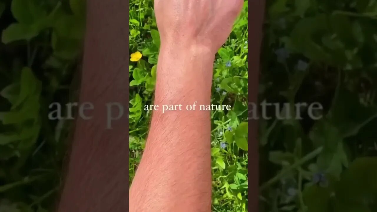 Our body & Nature #body #nature #humanbody