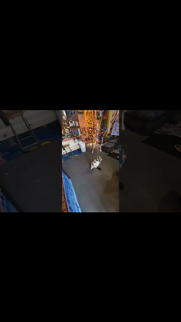 I LOVE MAKING LIFE HAPPY CAT