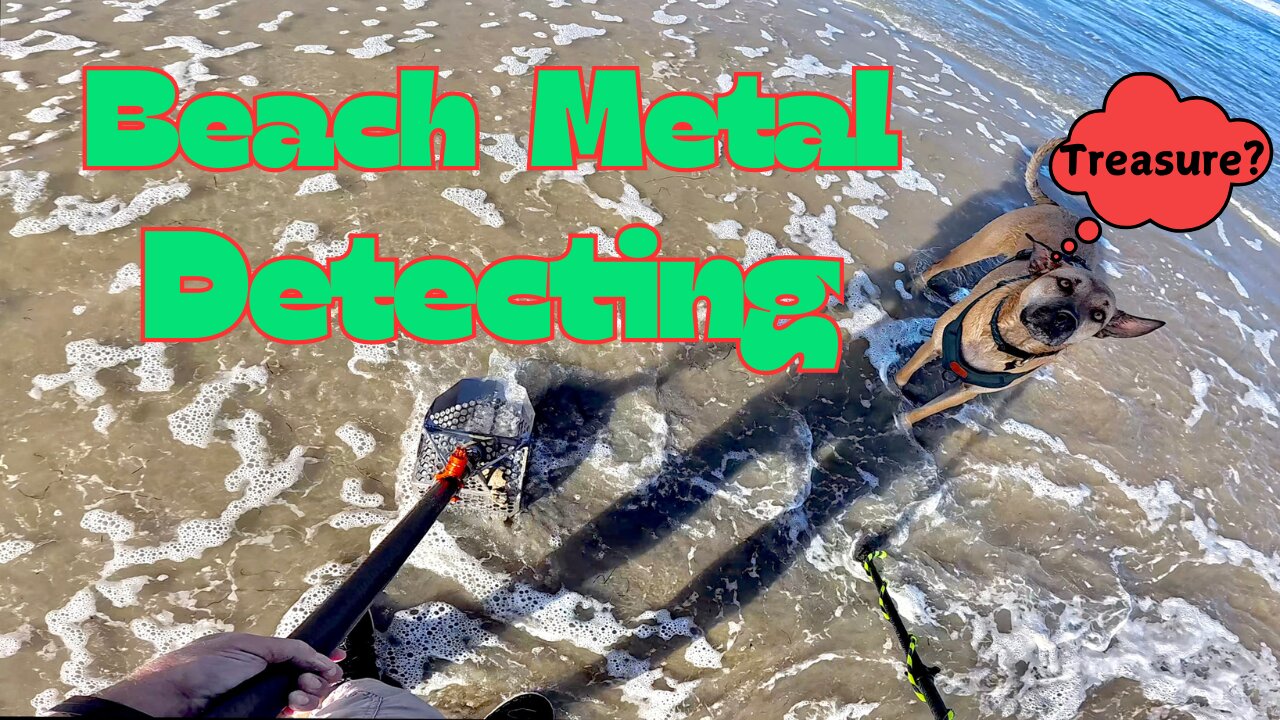 Beach Metal Detecting !