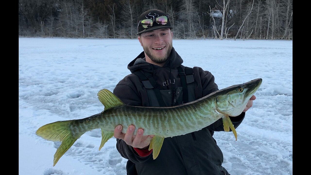 Muskie Through the ICE!!! (Below zero temps!)