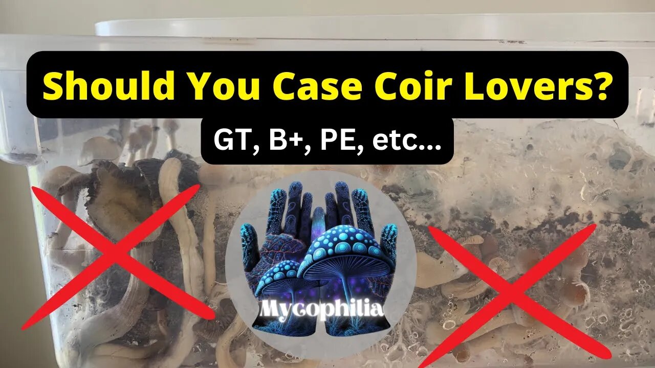 Casing Coir Lovers, Discussion on Pros and Cons of Shoeboxes, and Preventing Blobs