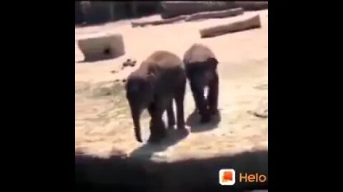 கிரீஸ் டப்பாவ எப்படி உதச்ச #shorts #baby #comedy #prank #viral #viralvideo #funny #fubonguardians