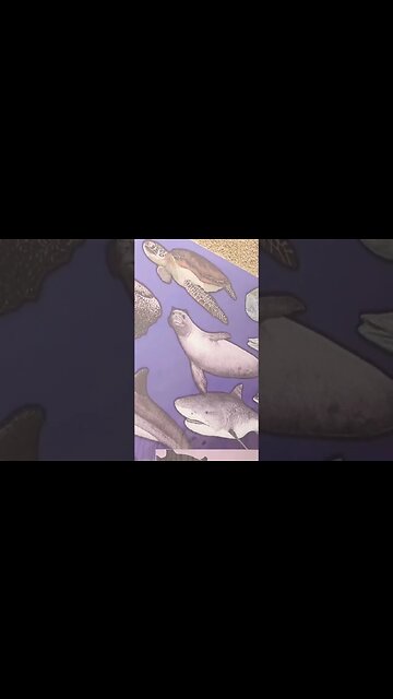 🦈MARINE🦭🐋 LIFE LOCALS #alohakekai #keepouroceansclean