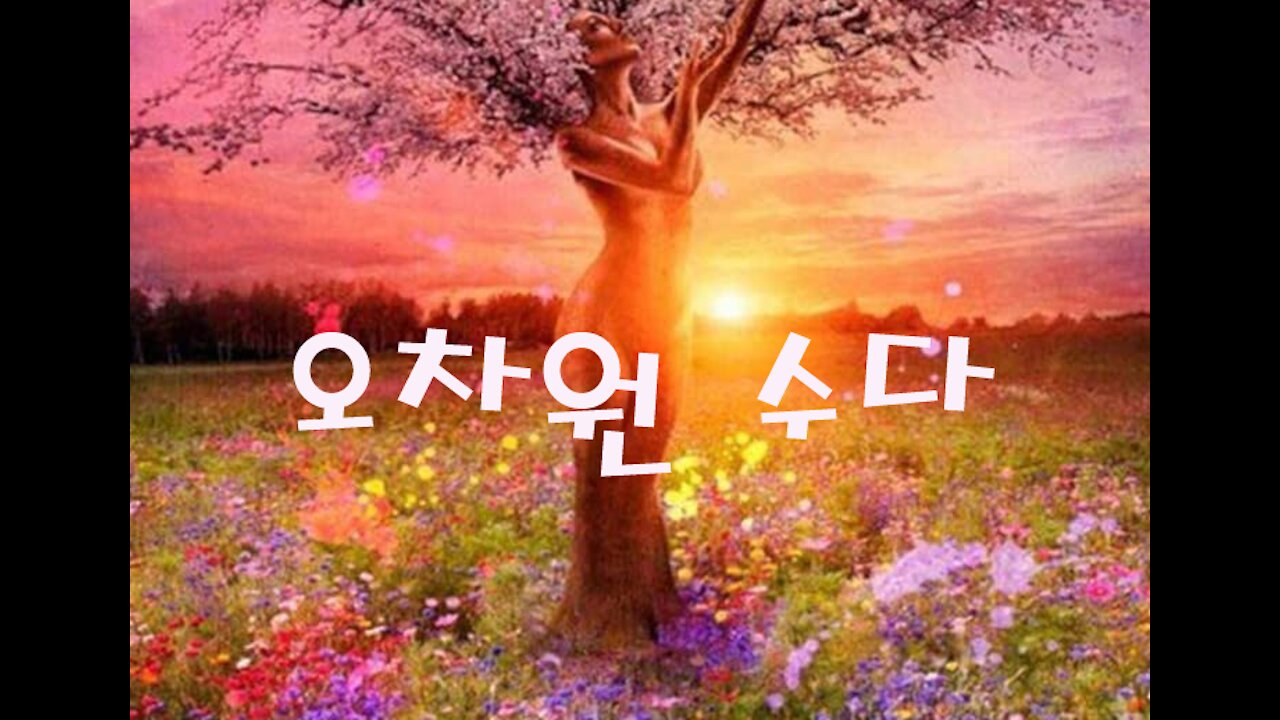 오차원 수다 - 승리가 눈앞