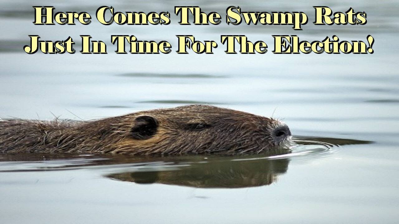 The Rant - EP 206 - Here Comes The Swamp Rats Just In Time For The Election