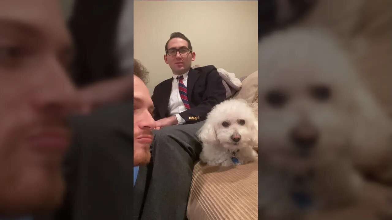 Bark at your Dog Challenge