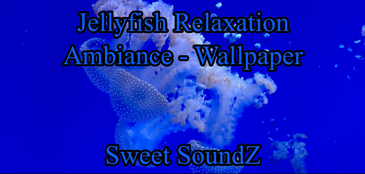 Jellyfish - Relaxing Instrumental - Beautiful Ambiance - Wallpaper - ASMR