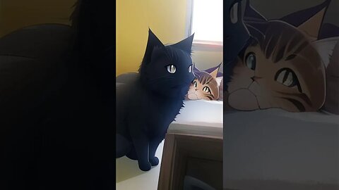 Anim-mac. 😆 #cat #cats #blackcats #fyp