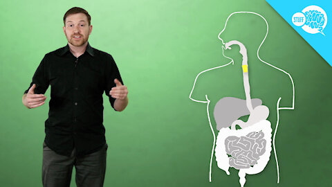 BrainStuff: How Do Farts Work?