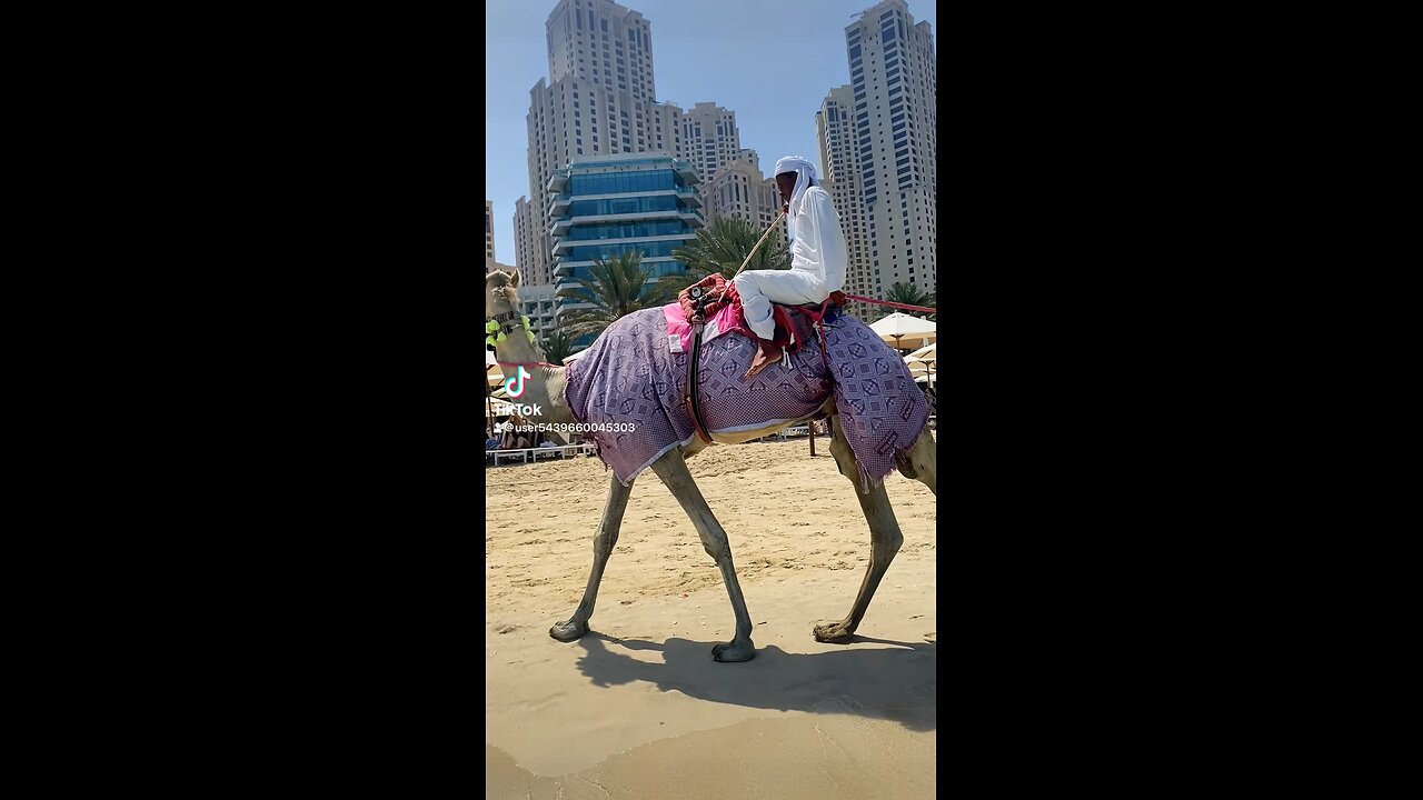 Dubai beach