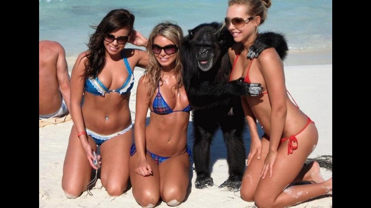 L8Night with E Honda!!!