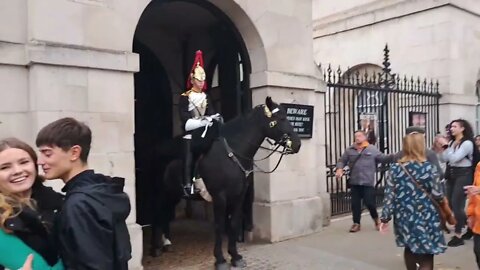 Father and son pose with the Horse. kings guard tells them to get off the Reins #horseguardsparade