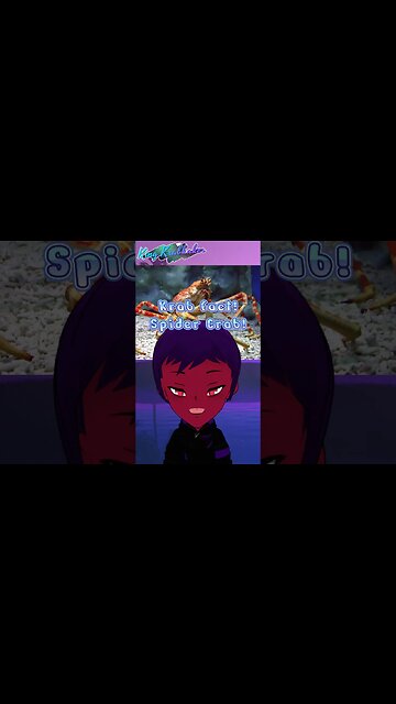 👑[Krab Fact: Spidercrab]🦀