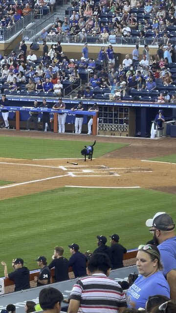 Doggy Bat Boy! Best good boy EVER in Baseball!