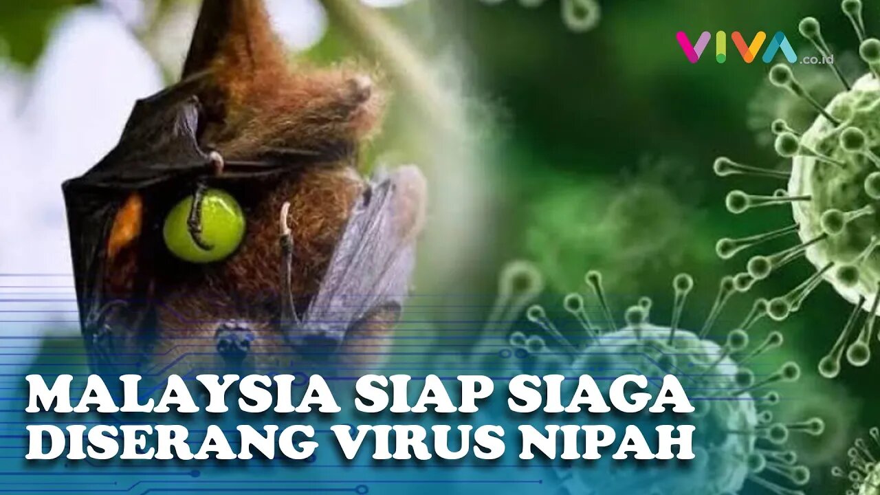 Malaysia Siap Siaga Lakukan Pencegahan Penularan Penyakit Nipah