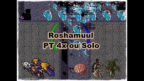 Lower Roshamuul PT 4x Level 130+ (5-6KK/XP) ou Royal Paladin Solo 300+ (4.5-5KK/XP)