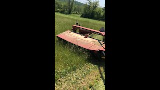 Mowing Hay