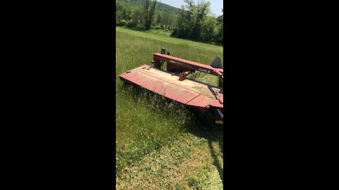 Mowing Hay