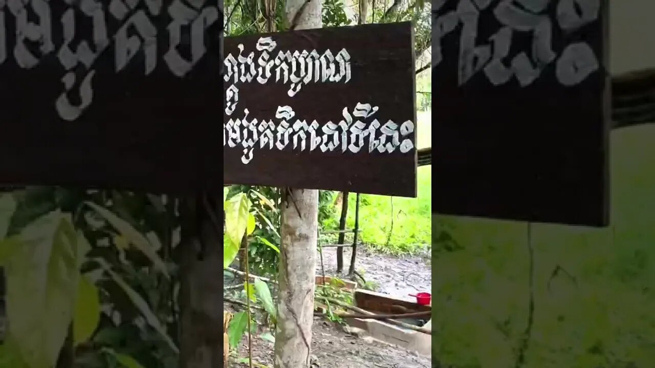 MUDDY ROAD TO MANGROVE (SIEM REAP)