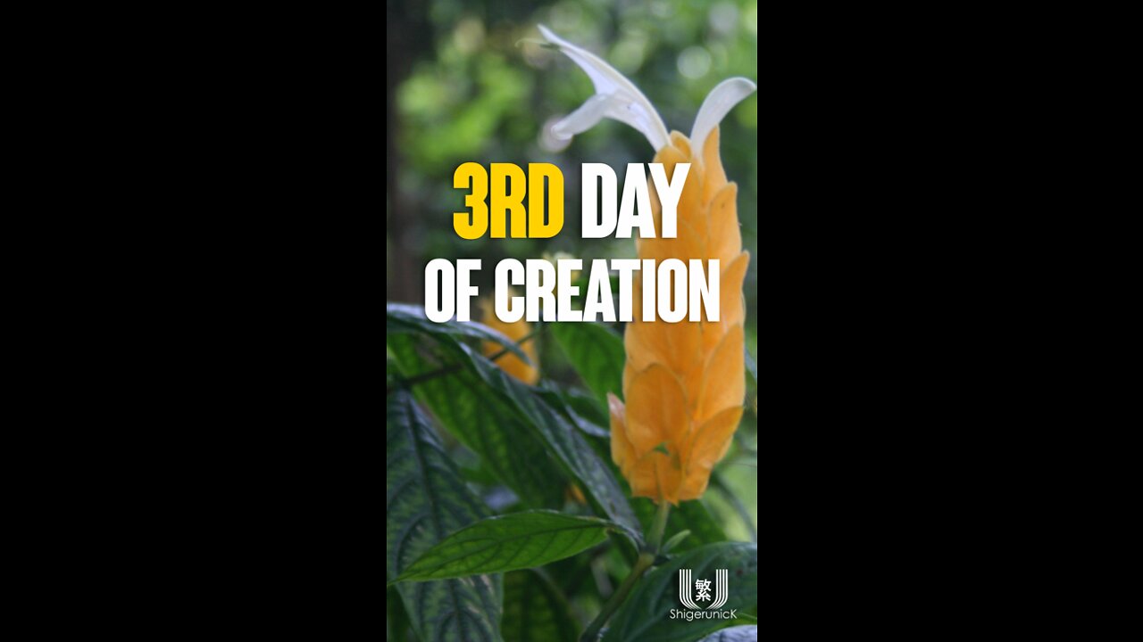 3rd Day of Creation EP3