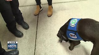 Patton shows us how he can pick up keys