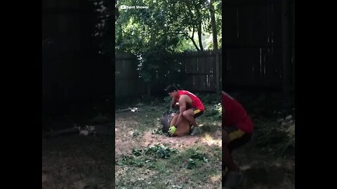 Just Lift a Tree Bro