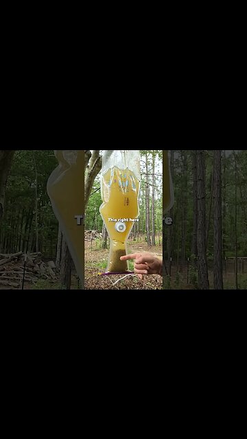 JuSt UsE a LiFeStRaW