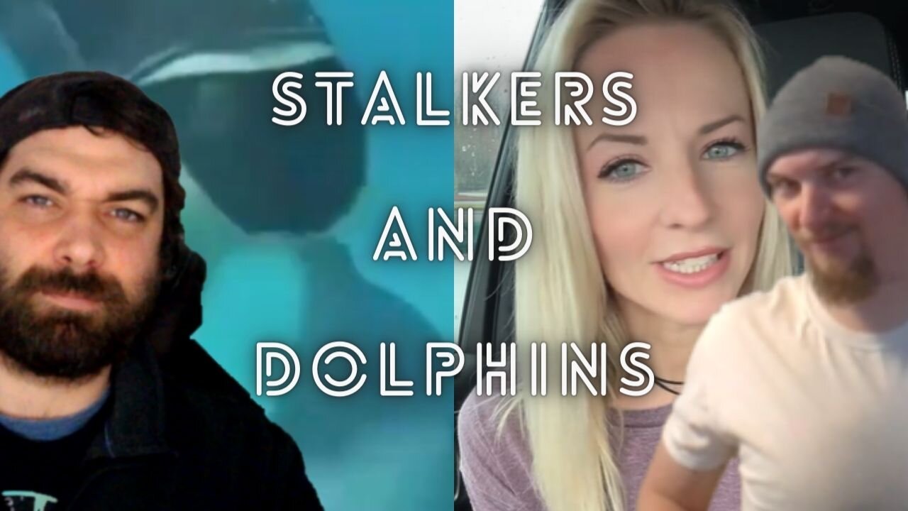 Stalkers and Dolphins