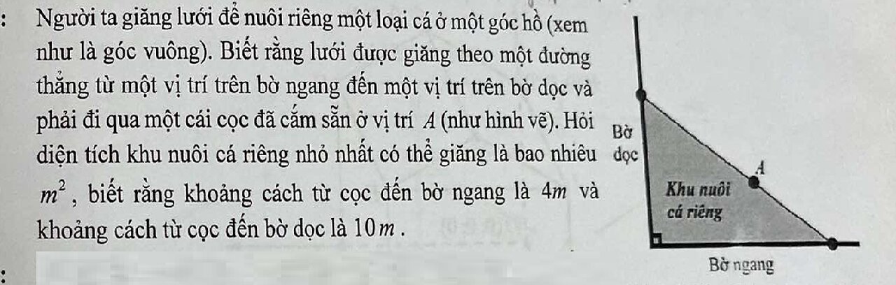 Toán 12: Người ta giăng lưới để nuôi riêng một loại cá trên một góc hồ. Biết rằng lưới được