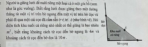 Toán 12: Người ta giăng lưới để nuôi riêng một loại cá trên một góc hồ. Biết rằng lưới được