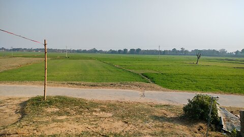 village view