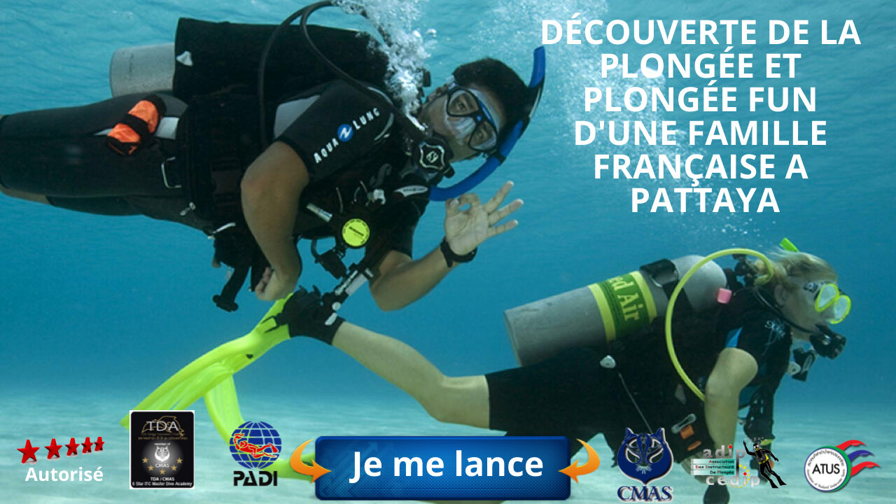 🐠Découverte de la plongée et plongée fun d'une famille française a Pattaya