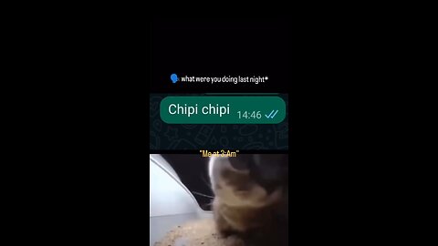 Chipi chipi chapa chapa