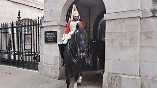 horse guards changing over #horseguardsparade