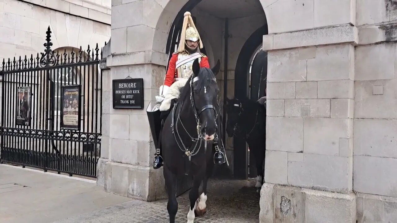 horse guards changing over #horseguardsparade