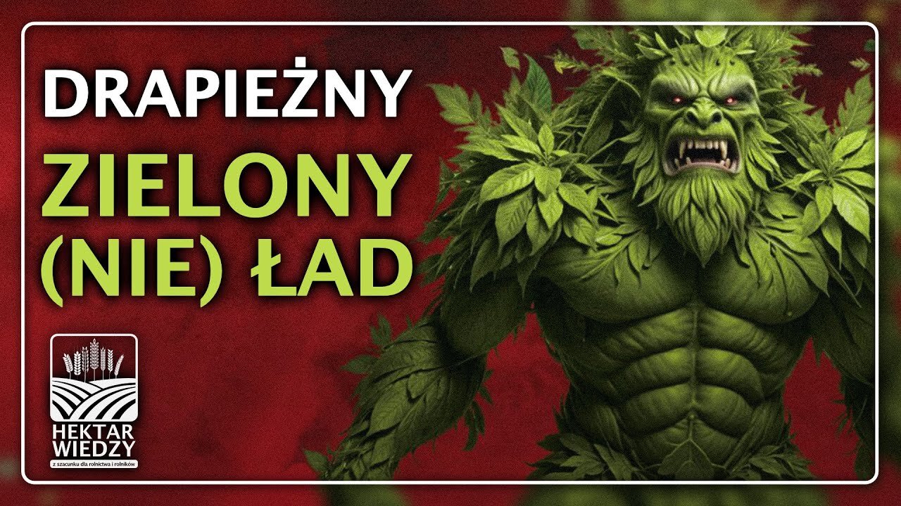 Drapieżny Zielony (NIE) Ład