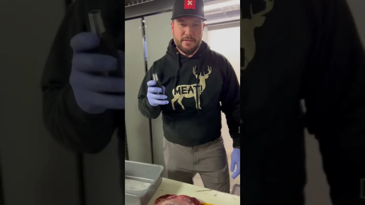 Hair Removal From Wild Game Meat