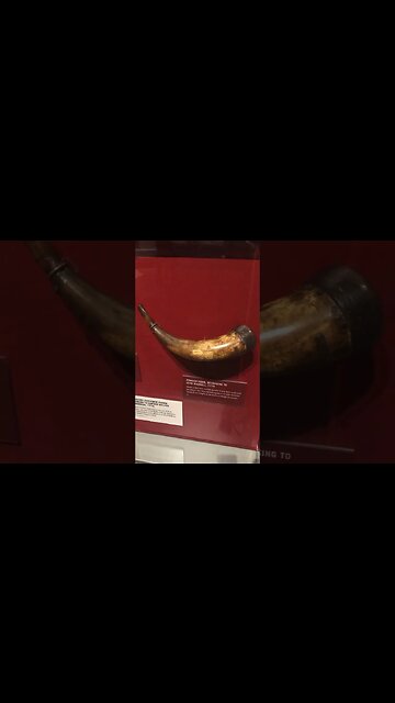 What a beautiful horn