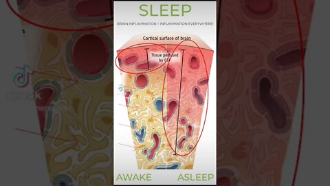 You Get Brainwashed Every. Time. You. Sleep 😨 | #brainhealth #shorts