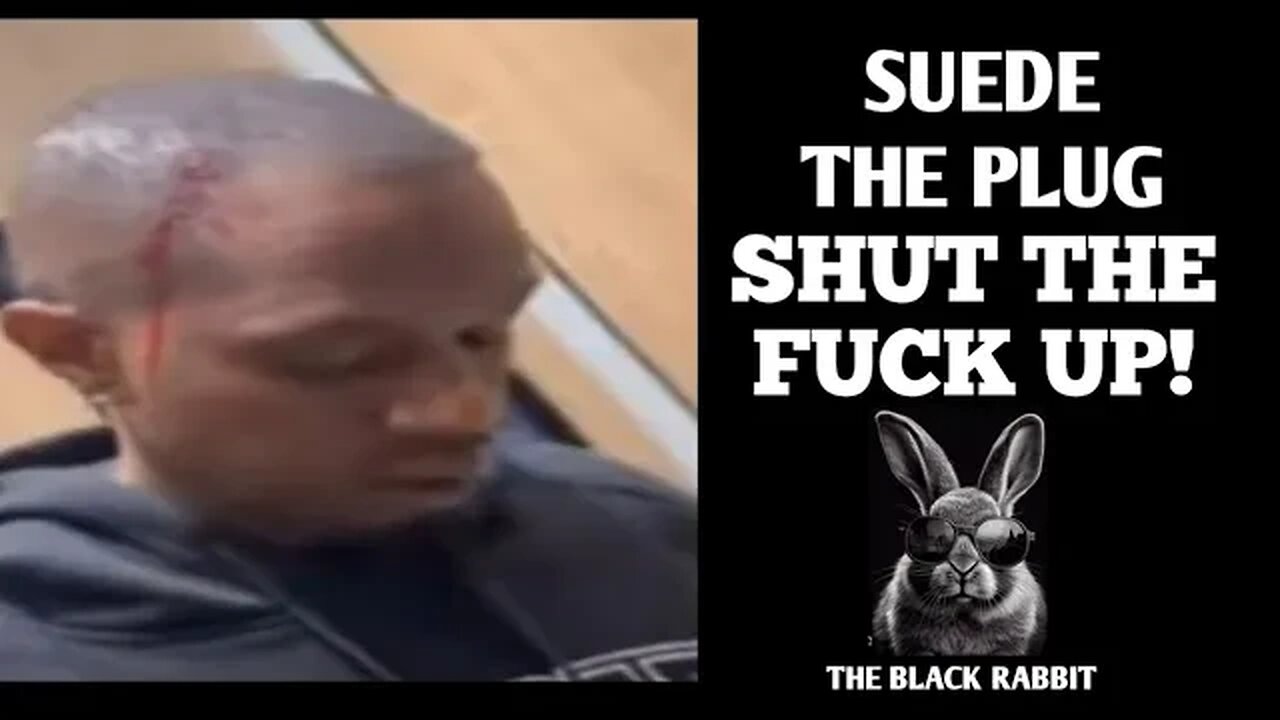 SUEDE THE PLUG: SHUT THE FUCK UP!!!