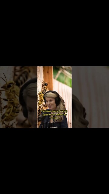 All bees will vote to choose the next hive - Joe Rogan & Erika Thompson #shorts