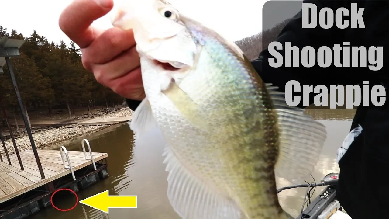 Dock shooting for Spring Crappie (Find Crappie in Spring)