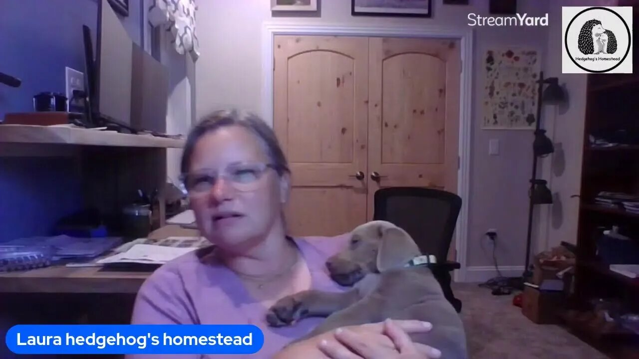 fun live and how are thing on homestead