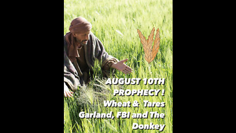 Aug 10th 2022 Prophecy-Wheat and Tares, Garland, FBI and the Donkey