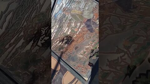 #shorts #costadorada